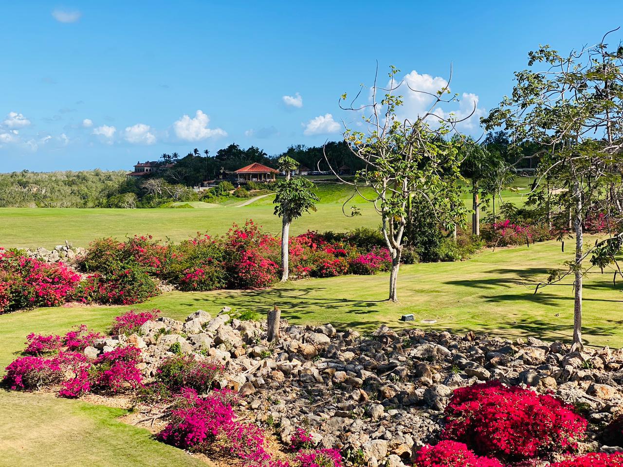 Bougainvillea and lawns around Los Altos, Casa de Campo