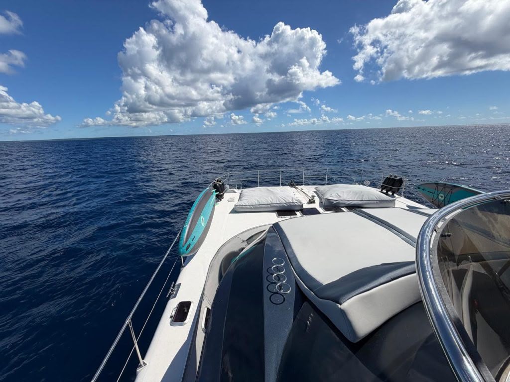 Catamaran exterior