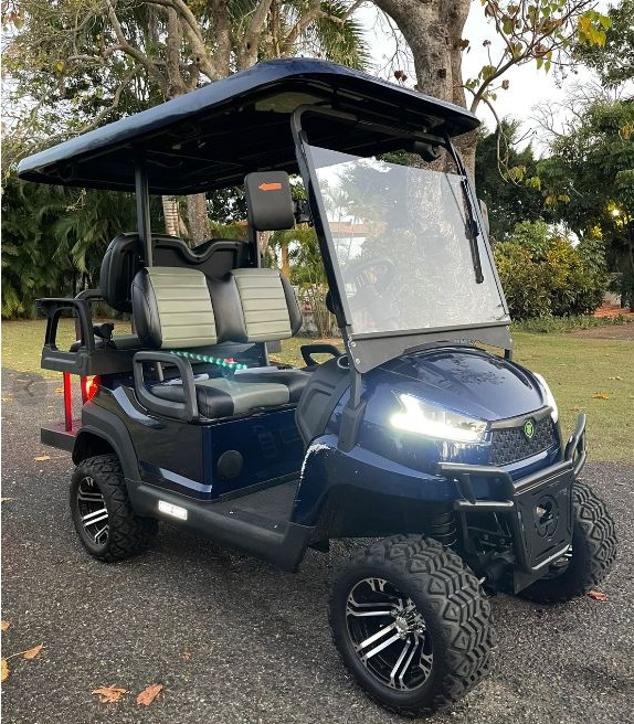 Four-passenger electric golf cart