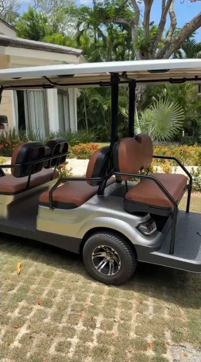 Six-passenger electric golf cart